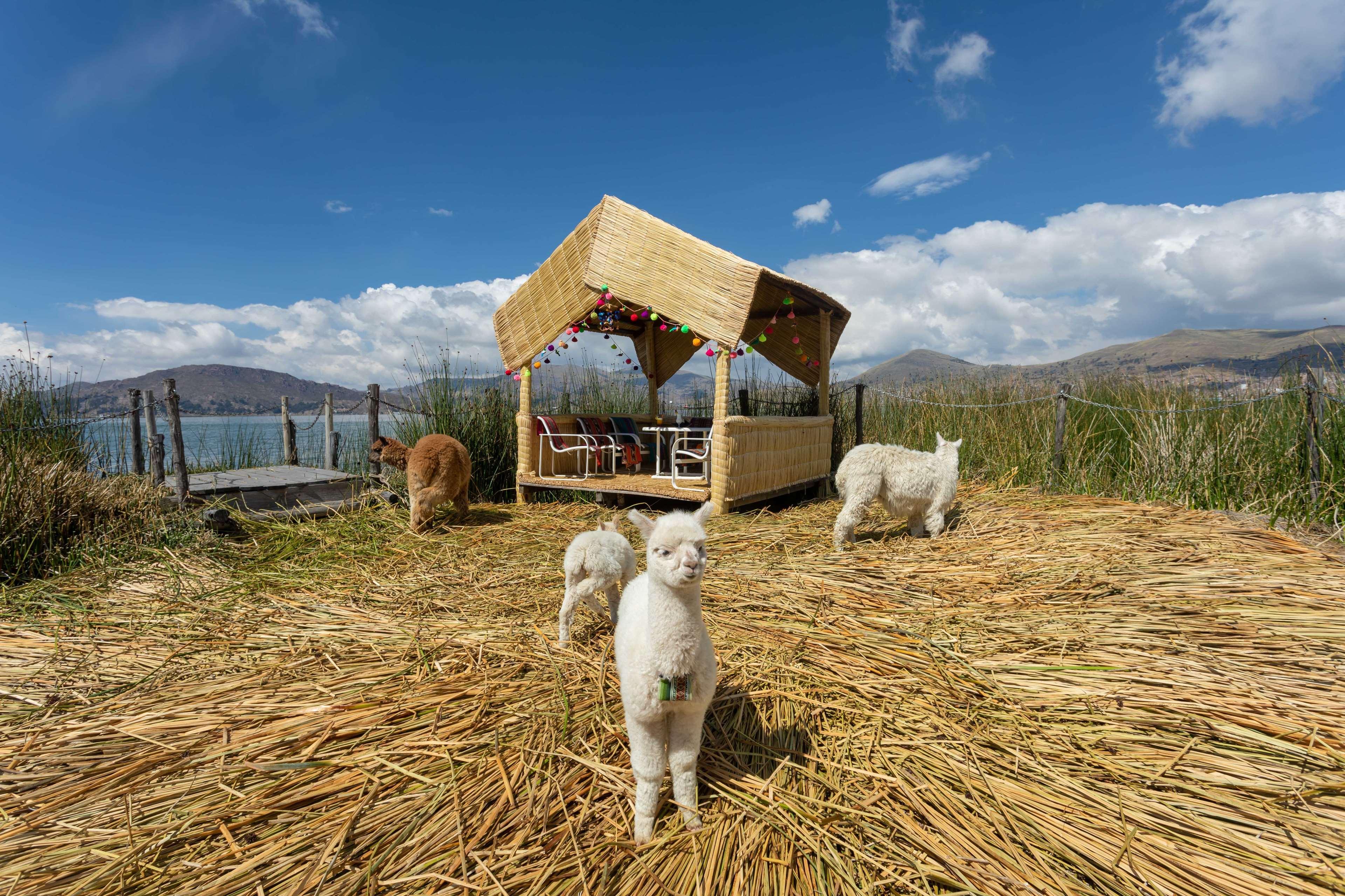 Sonesta Posadas Del Inca Puno Exteriör bild